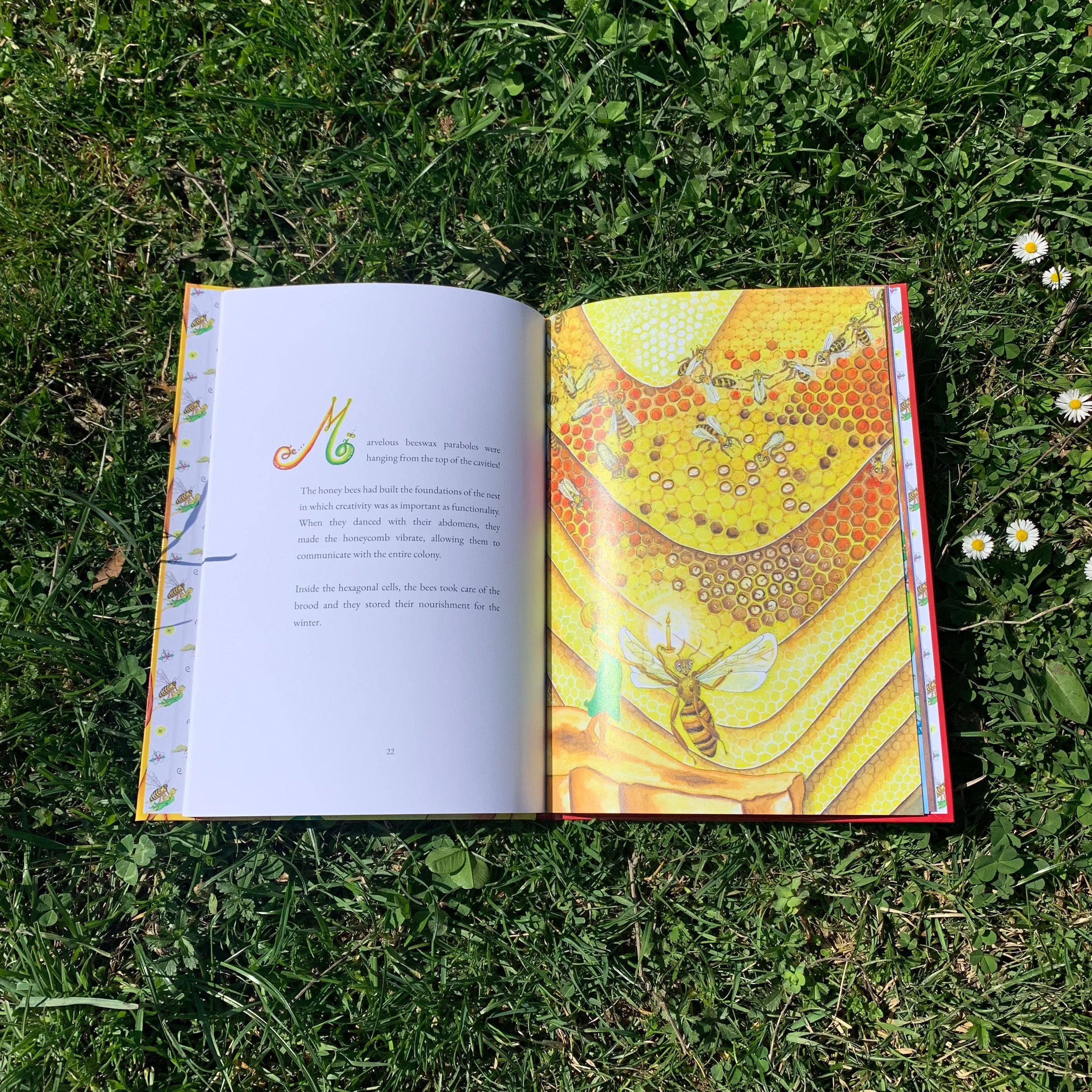 La luz de la abeja - Libro ilustrado