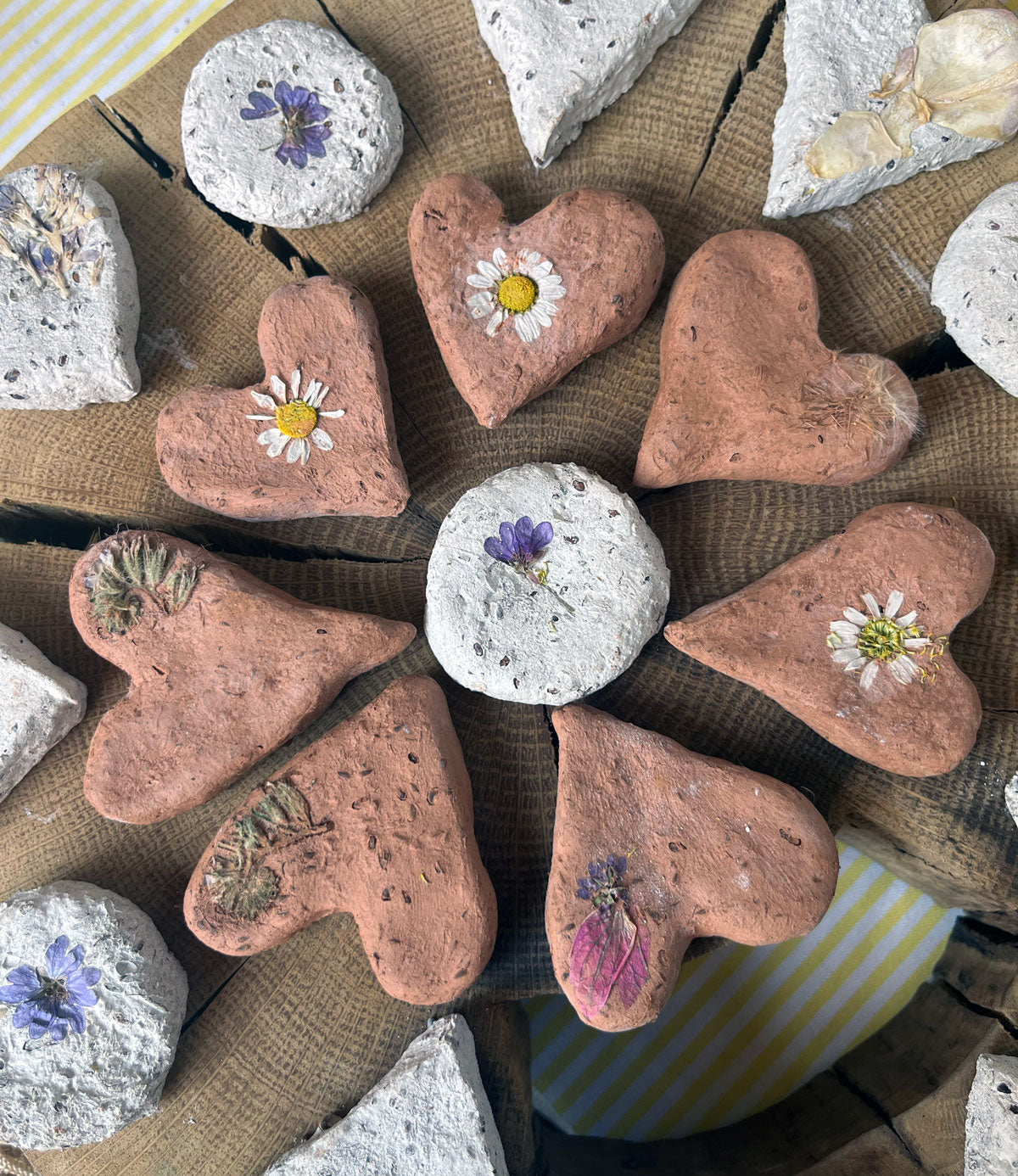 Biscuits pour les Abeilles