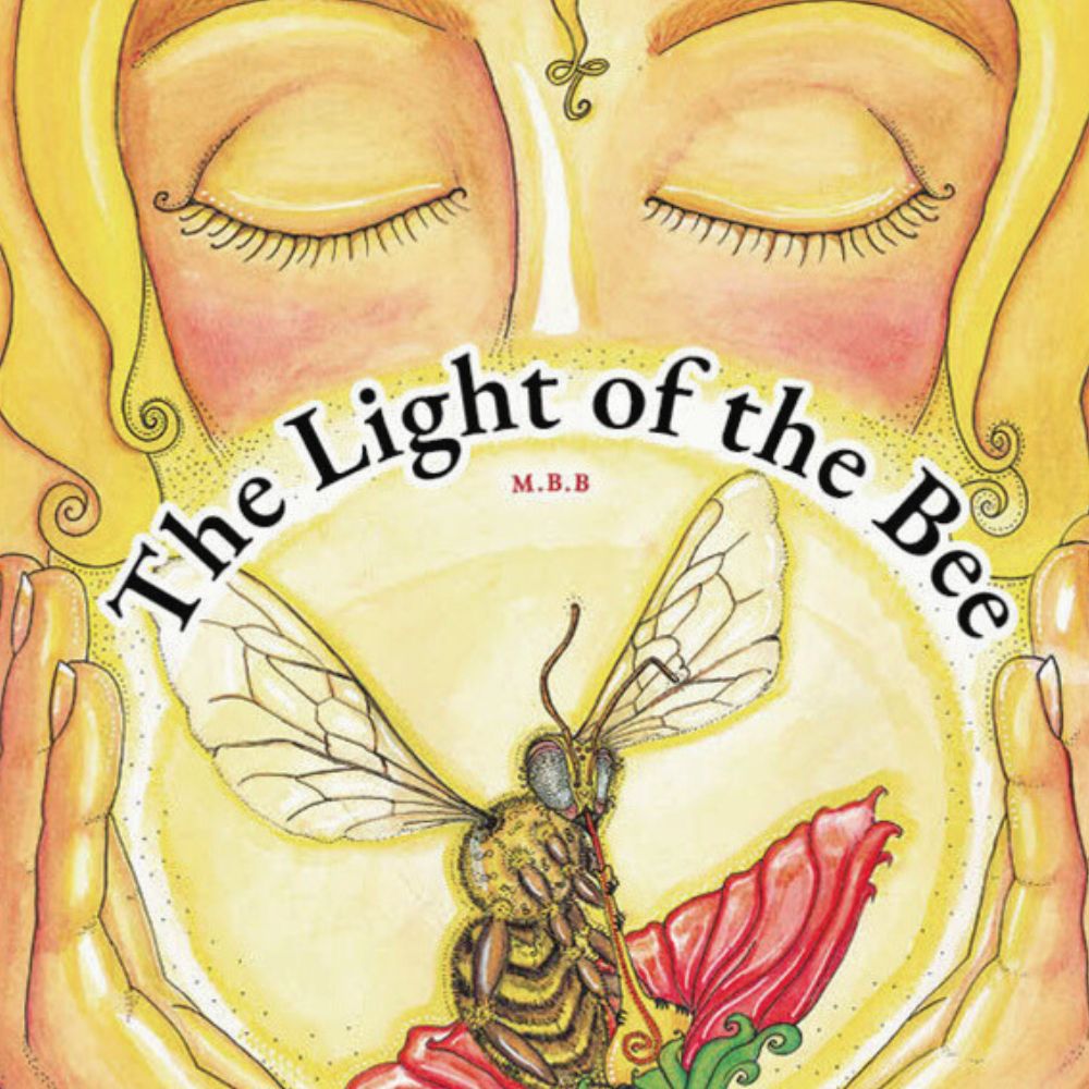 La luz de la abeja - Libro ilustrado